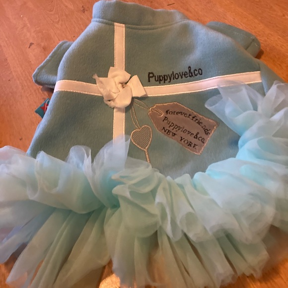 Sniffany * Co. Other - Sniffany & Co. tutu dress done in turquoise.